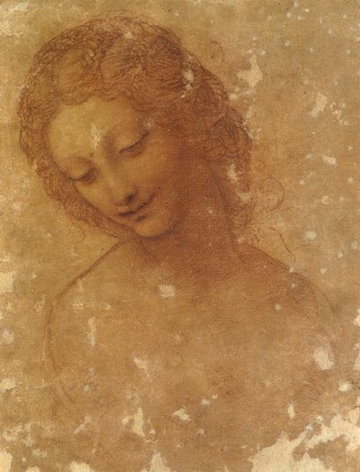 Cabeza de Leda, Castillo Sforzesco de Leonardo da Vinci